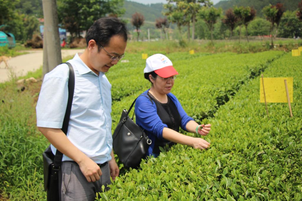 教师进农户，理论下基层——emc体育官网学院全体党员教师赴英山县乌云山村学习调研